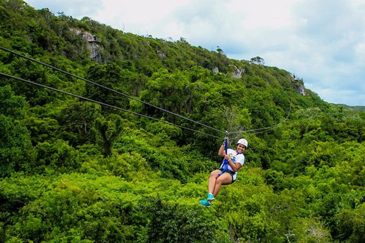 Place Zipline Park