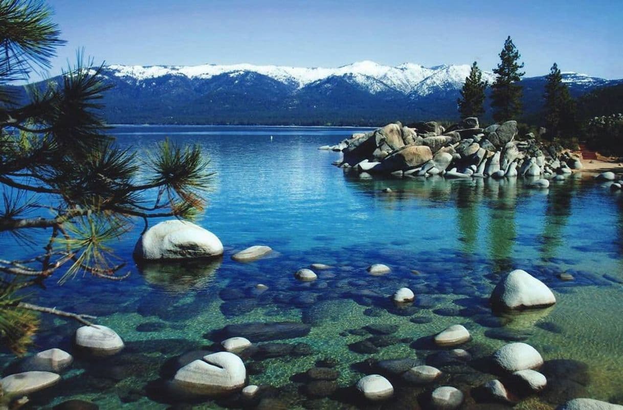 Place Lake Tahoe