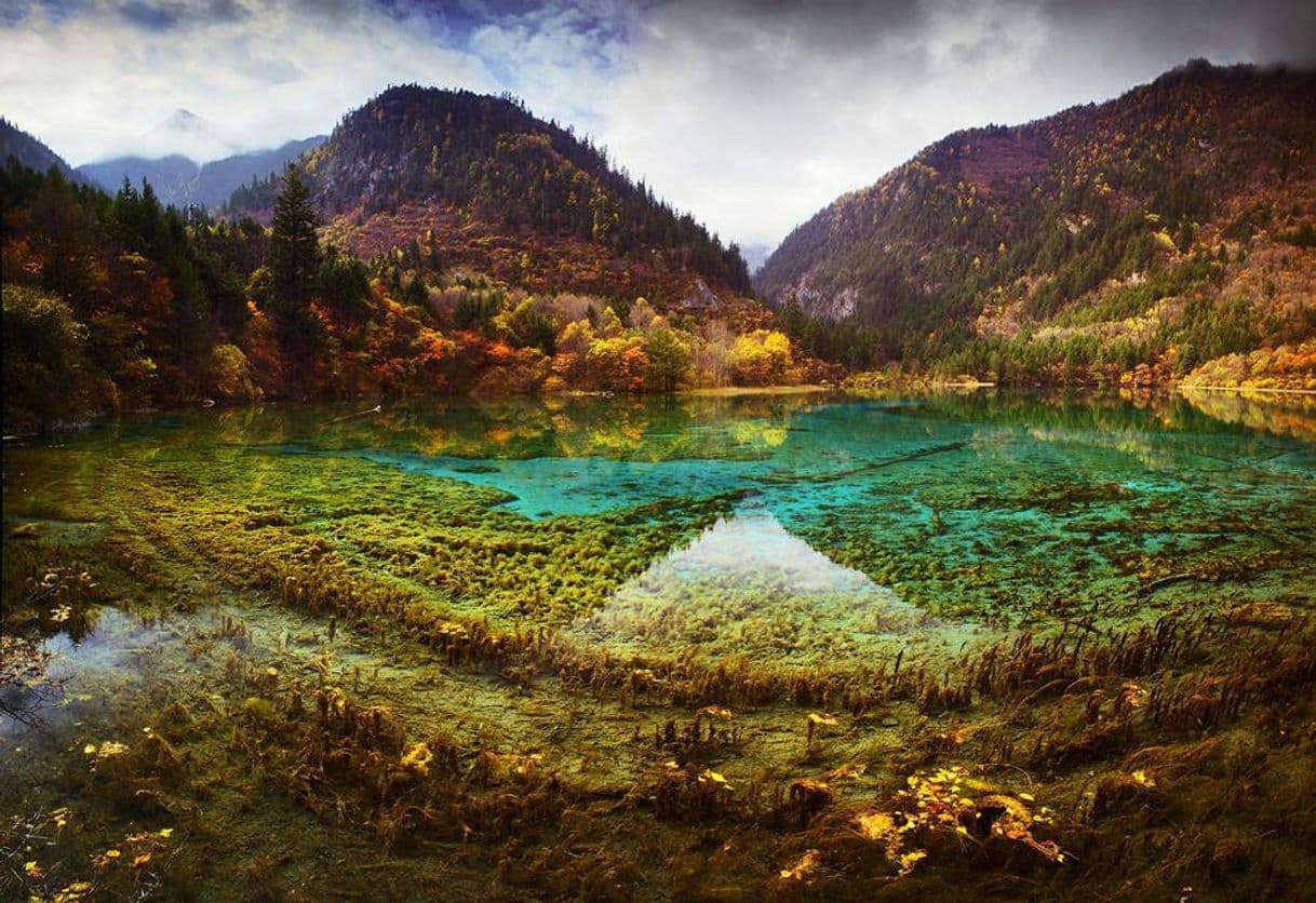 Place Vale Jiuzhaigou