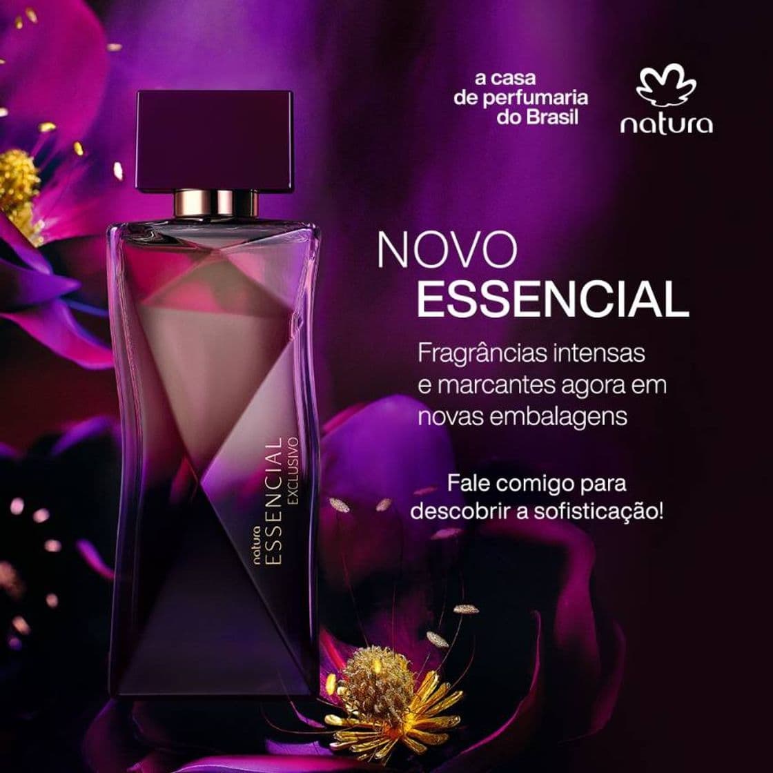 Moda Encotre os melhores perfumes importados 