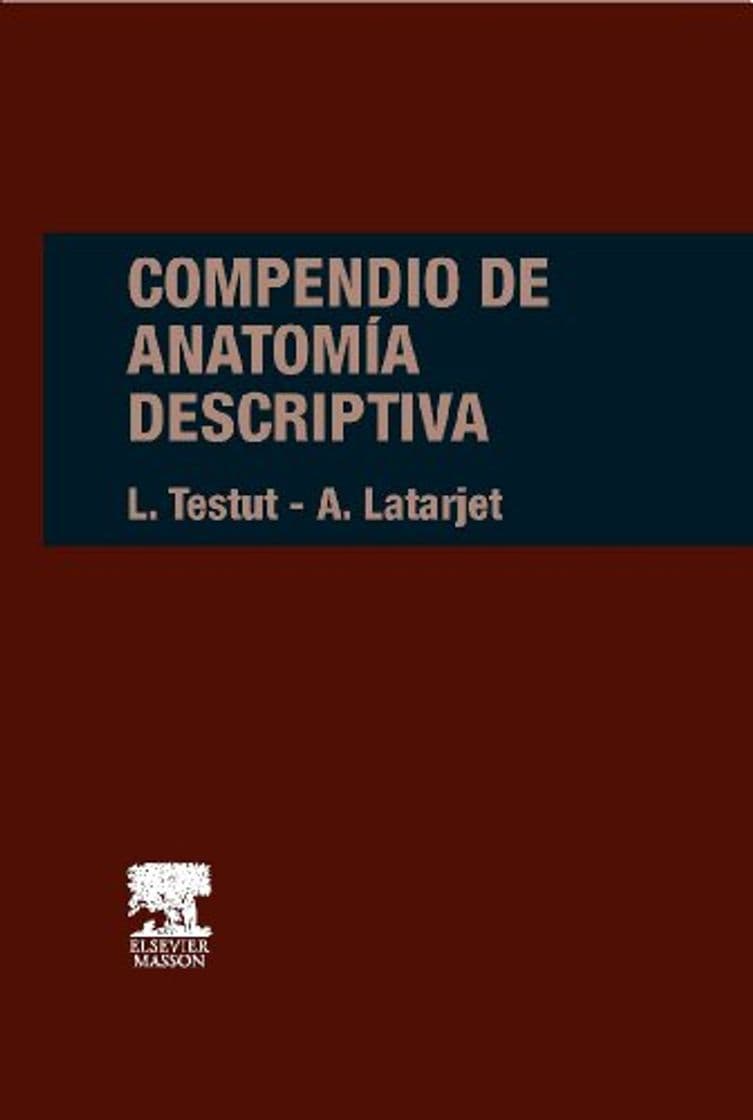 Libro Compendio de anatomía descriptiva