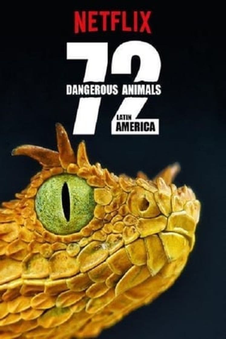 Serie 72 Dangerous Animals: Latin America