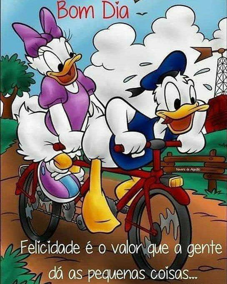 Fashion Margarida e Pato Donald 