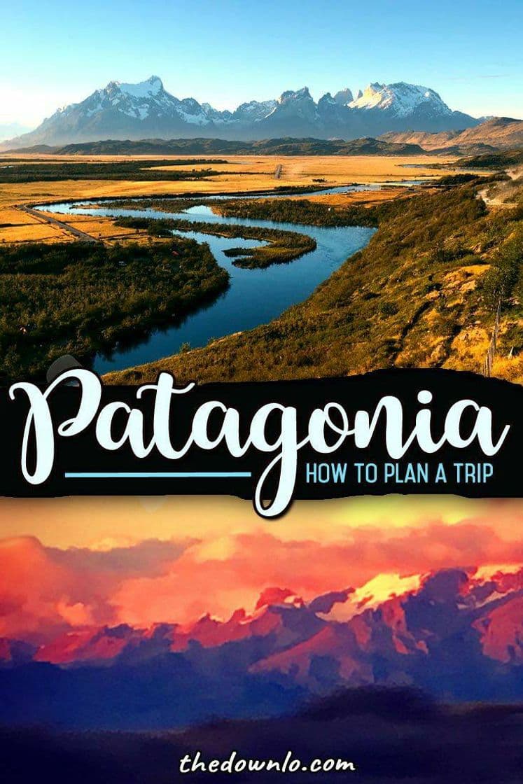 Moda Patagonia 