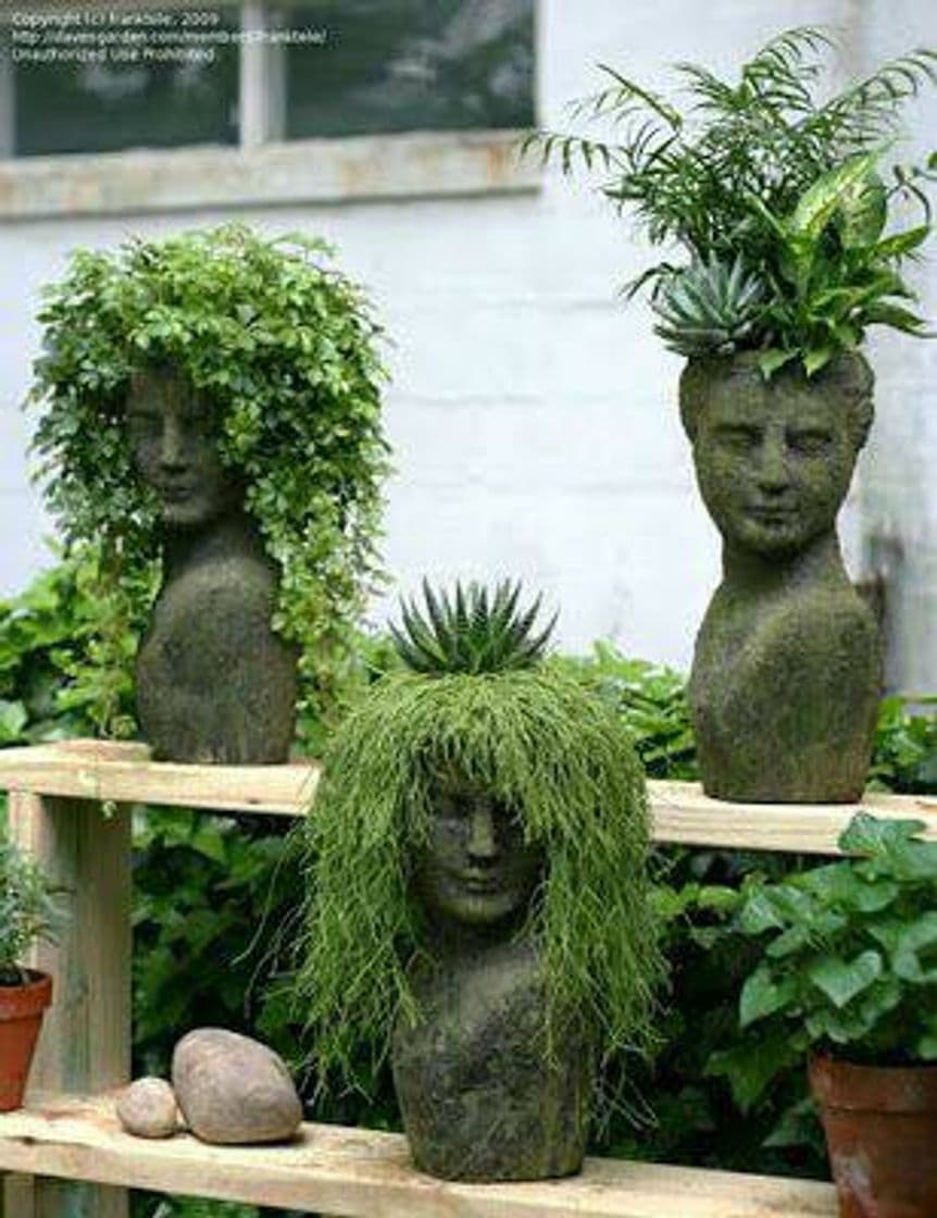 Moda Plantas