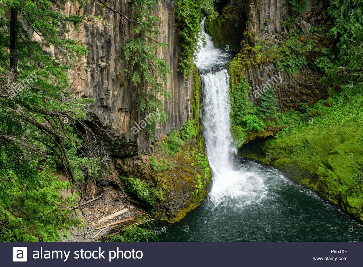 Place Umpqua National Forest