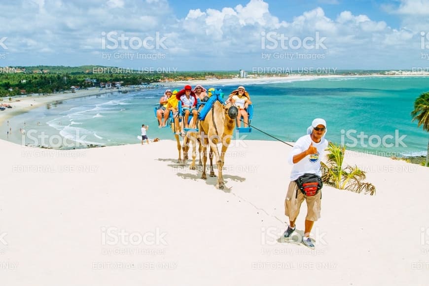 Lugar Praia de Genipabu