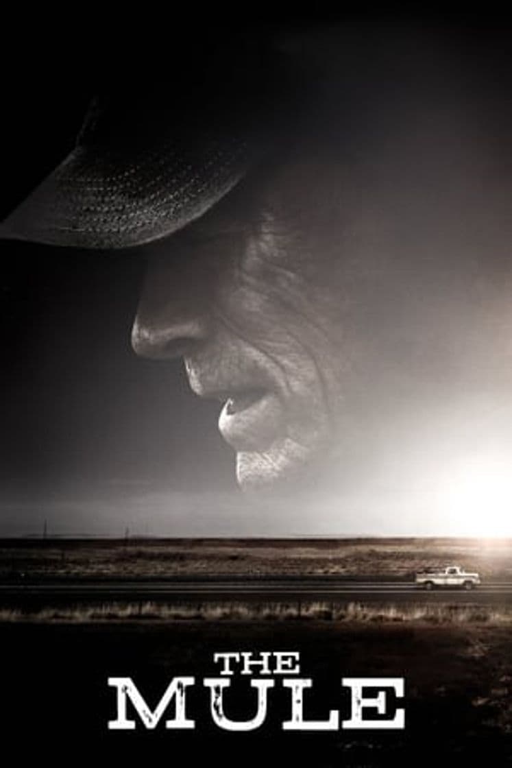 Movie The Mule