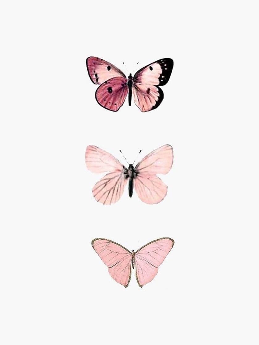 Moda Pink butterflies 🦋 