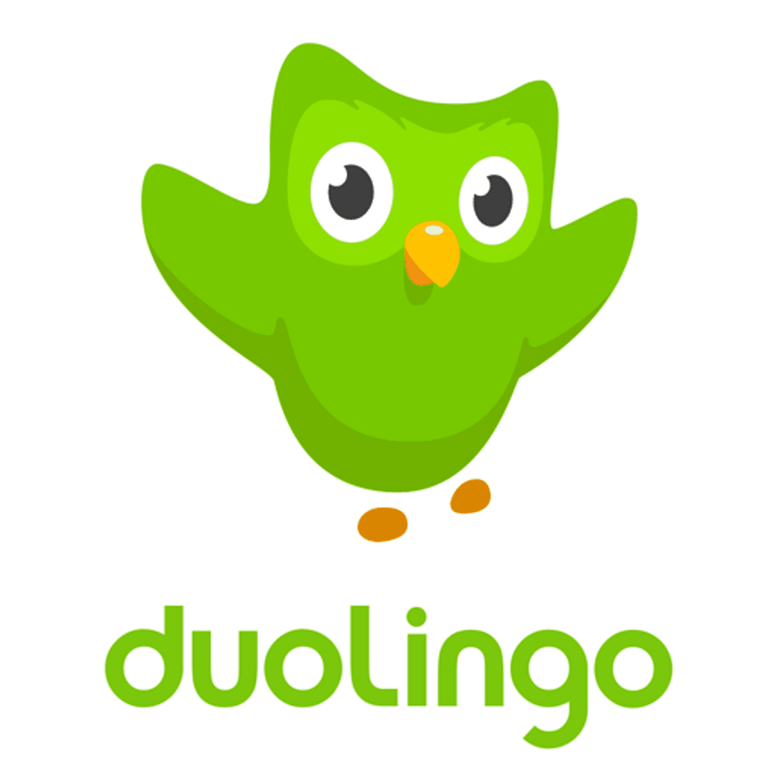 App Duolingo: Learn Languages 