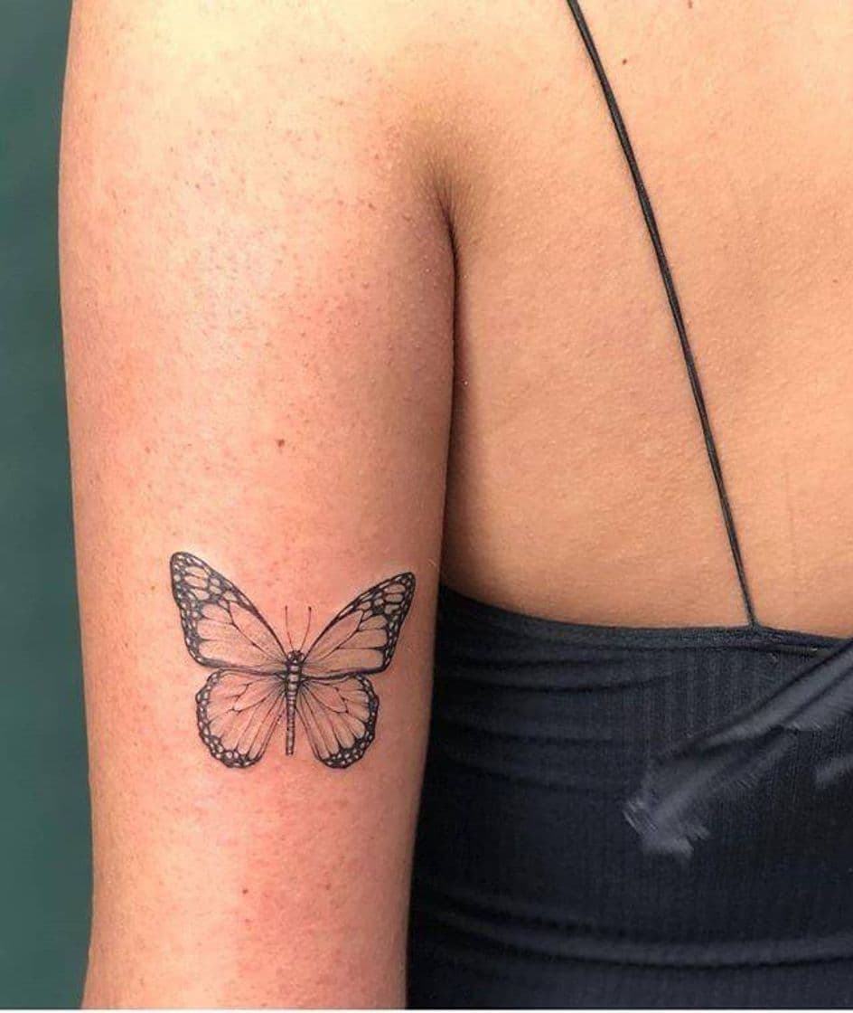 Moda Tatuagem Borboleta