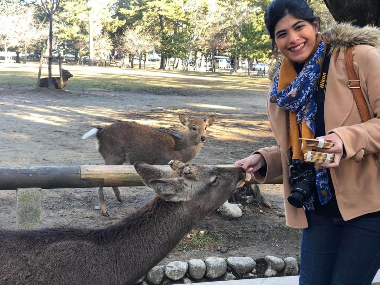 Place Nara Park