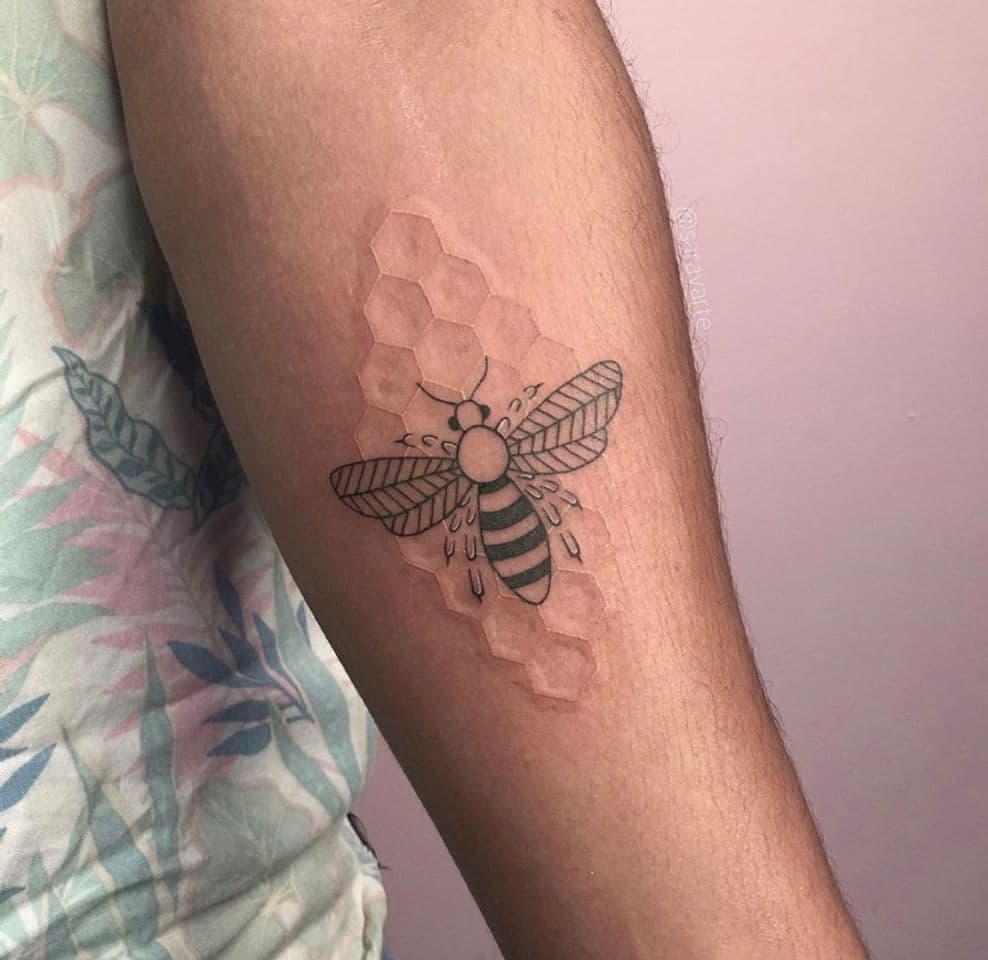 Moda Colmeia de abelha 🐝 