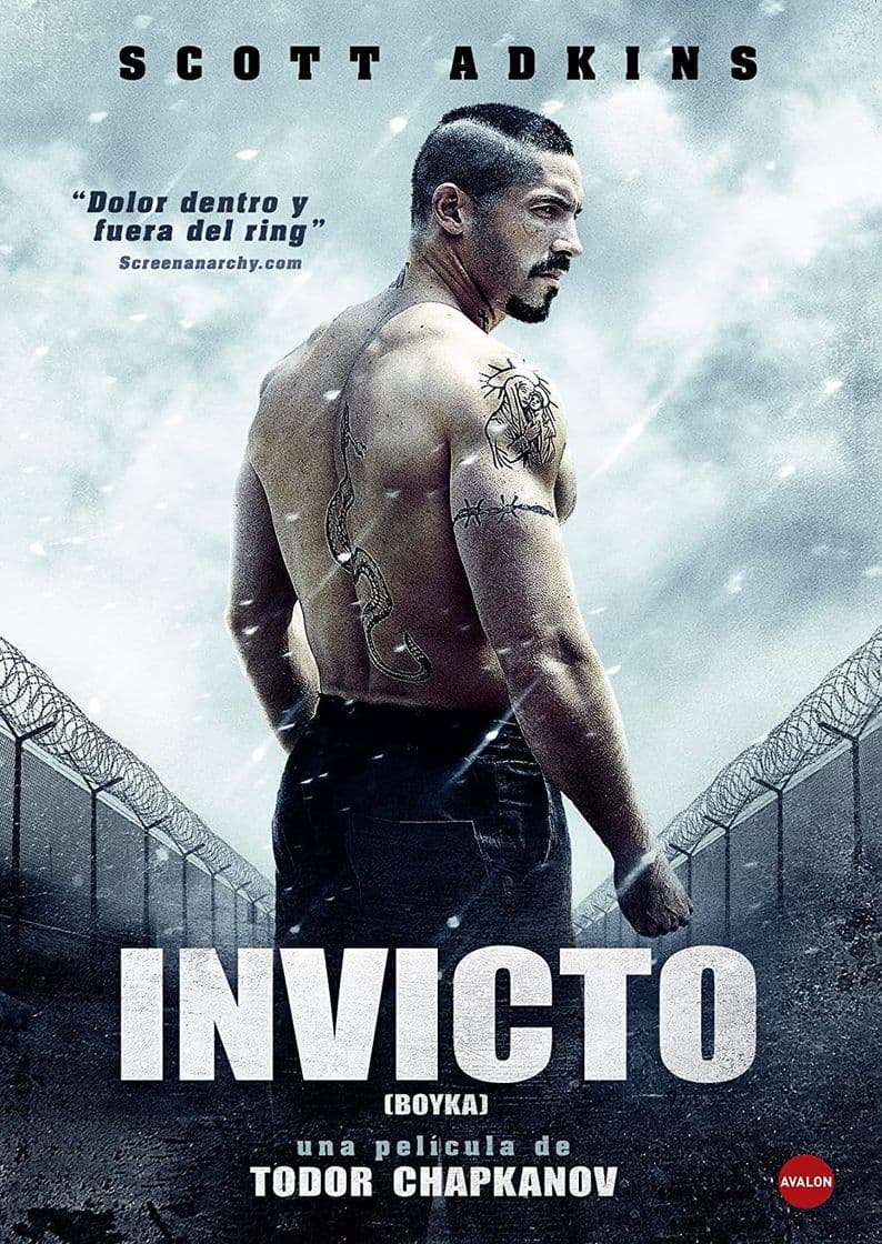 Película Boyka: Undisputed IV