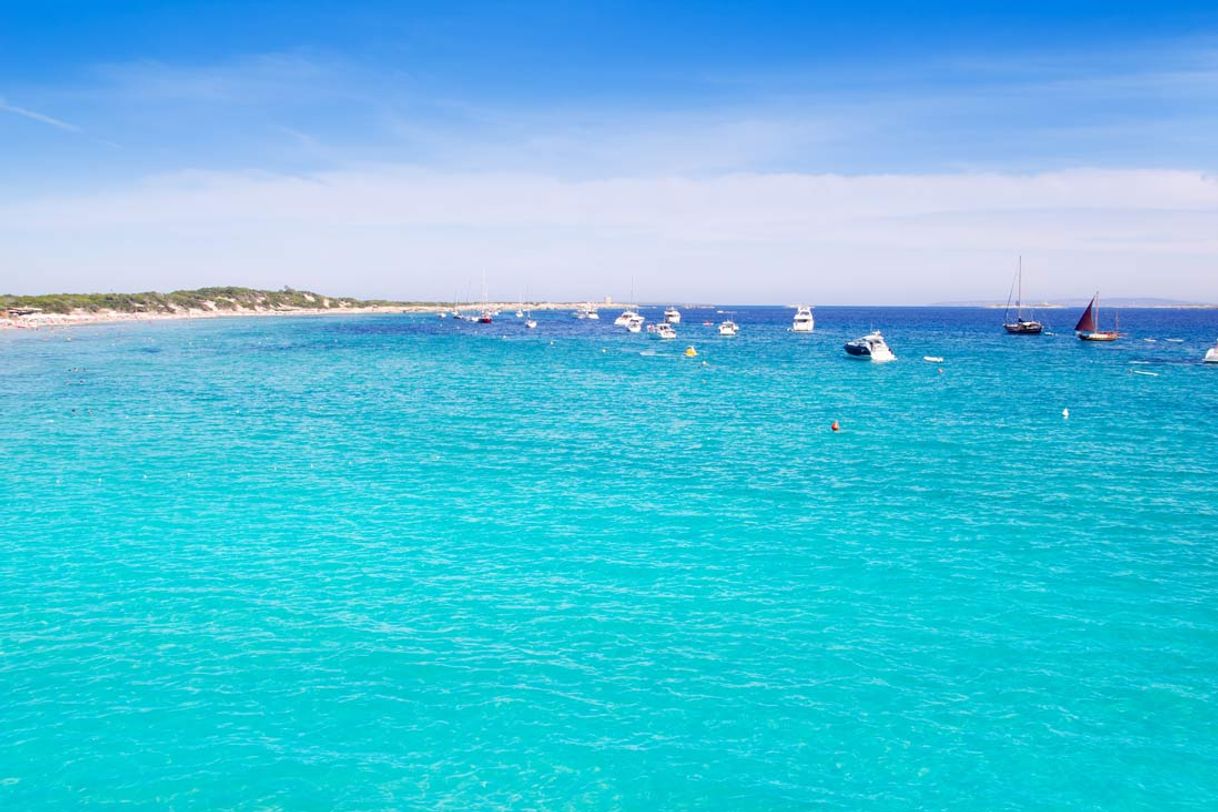 Lugar Platja de ses Salines