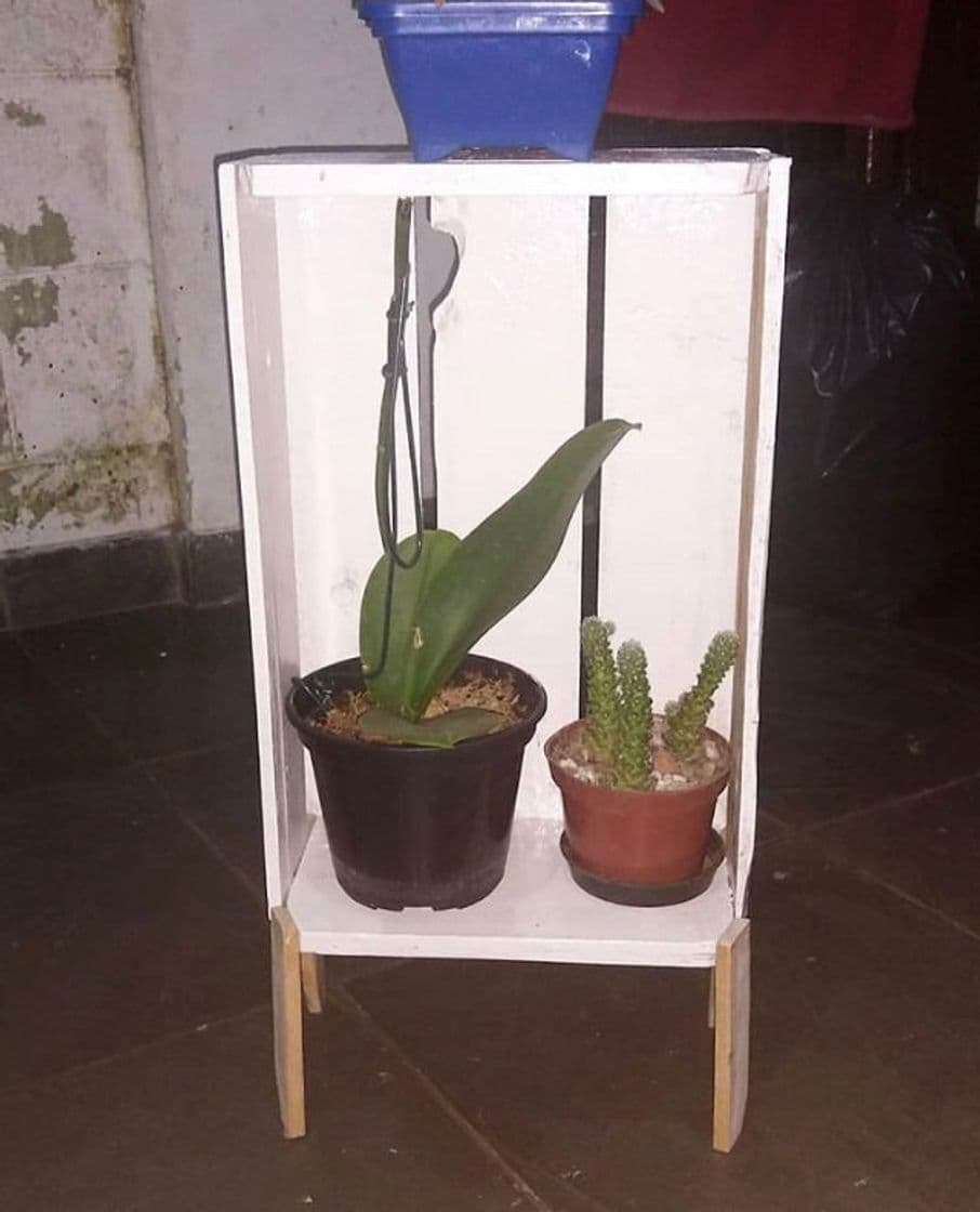 Moda Para as plantinhas 