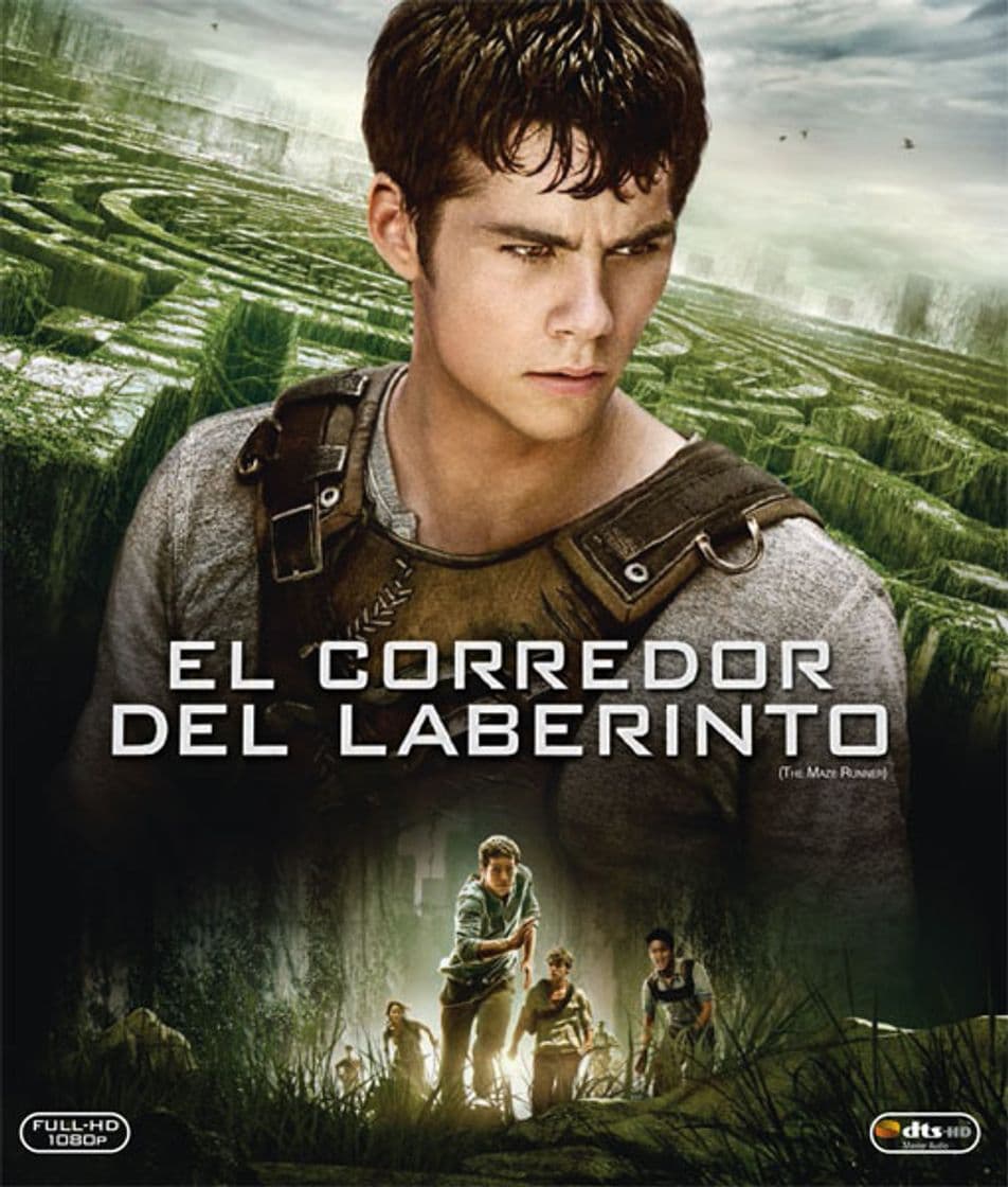 Movie The Maze Runner