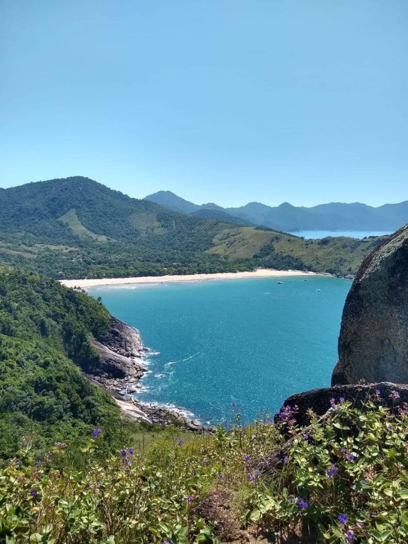 Place Praia Do Bonete Ilha Bela