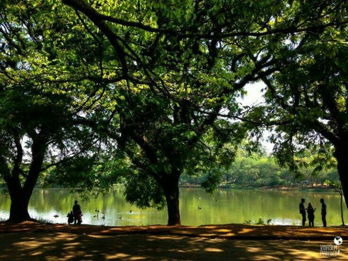 Place Ibirapuera