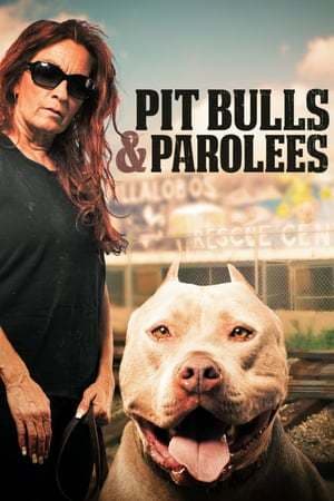 Serie Pit Bulls and Parolees