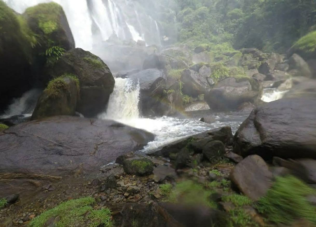 Lugar Trilha Cachoeira Do Elefante