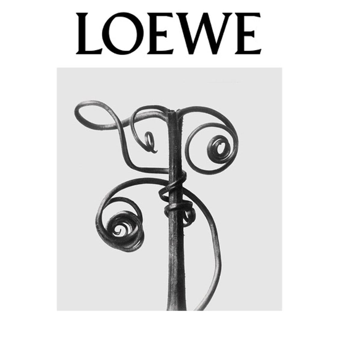 App LOEWE Perfumes