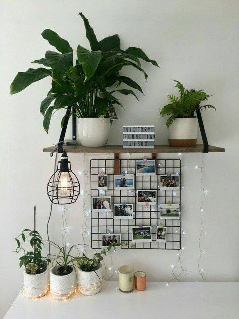 Moda decoração 💚