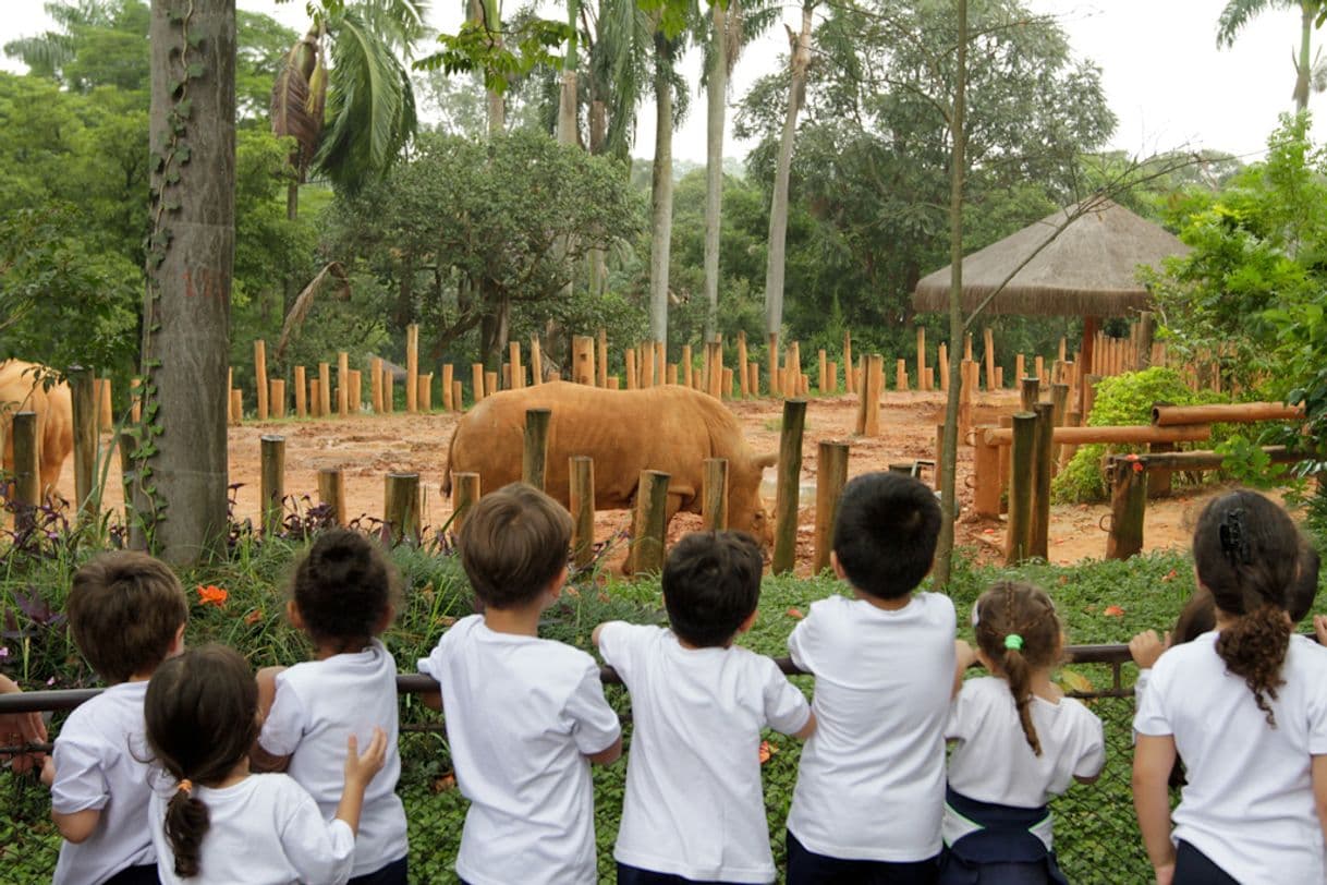 Place Zoológico de São Paulo