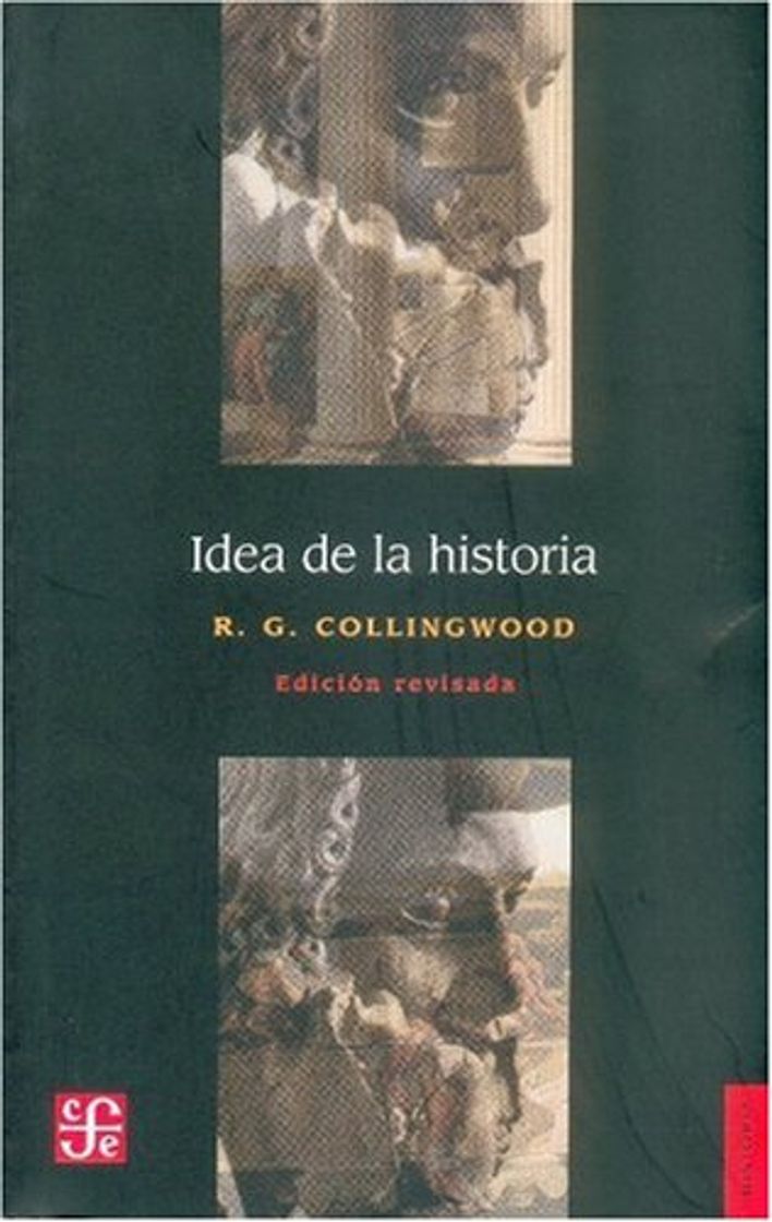 Libro Idea de la historia