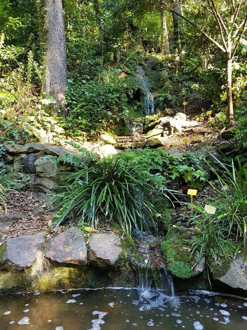 Place Jardín Botánico Histórico La Concepción