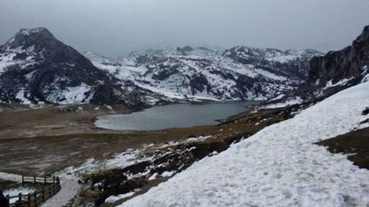 Lugar Covadonga