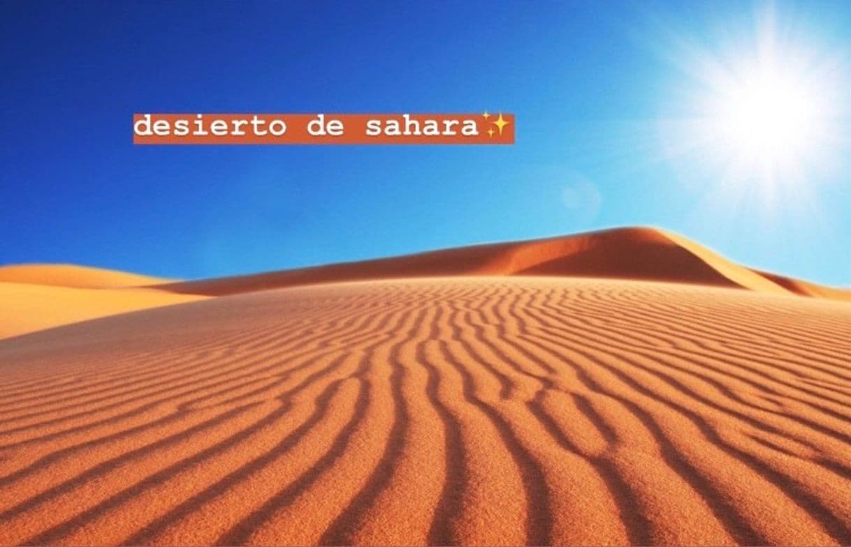 Lugar Sahara Desert