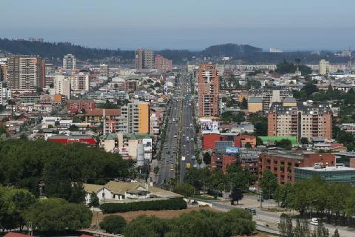 Restaurantes Concepción