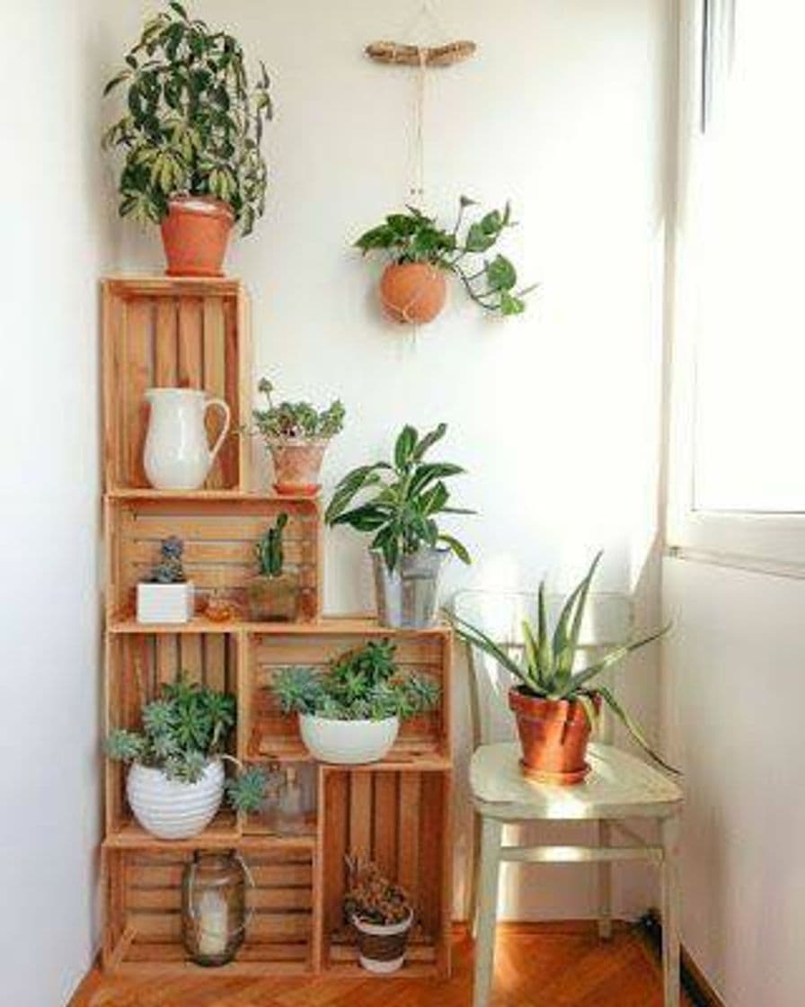 Fashion PLANTS E PALLETS 