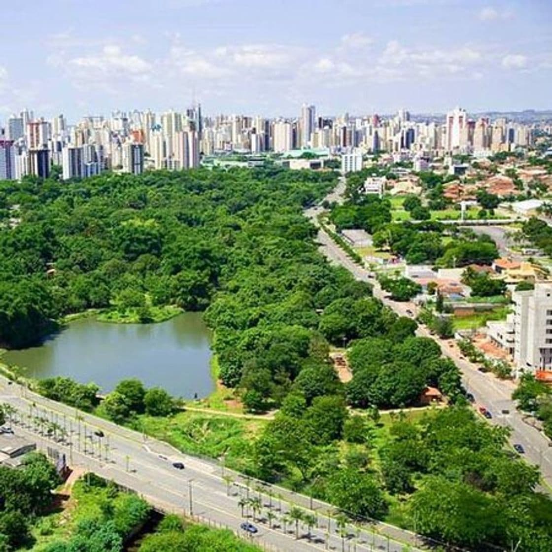 Lugar Parque Areião