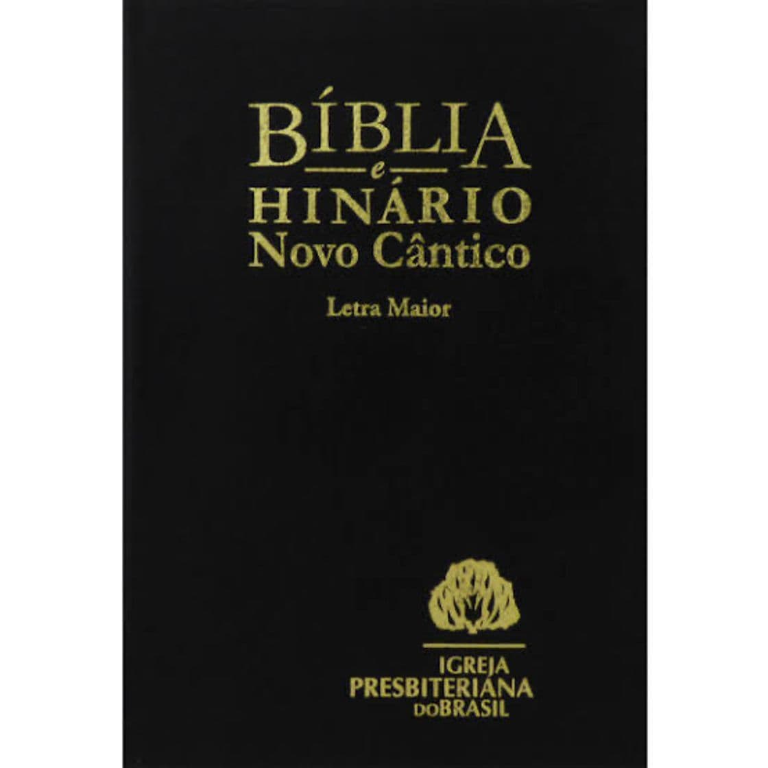 Book Sagrada Biblia. Popular rustica azul: Versión oficial de la Conferencia Episcopal Española: