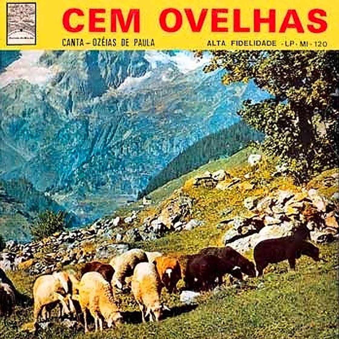 Music Cem Ovelhas