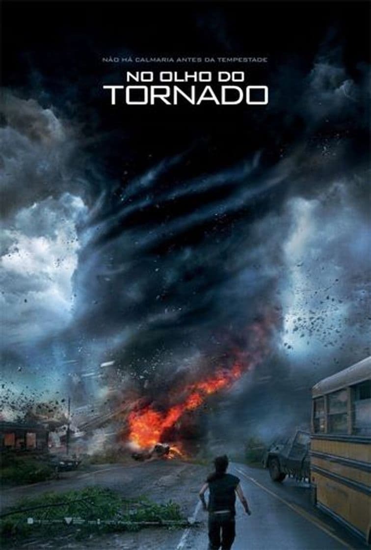 Movie Into the Storm