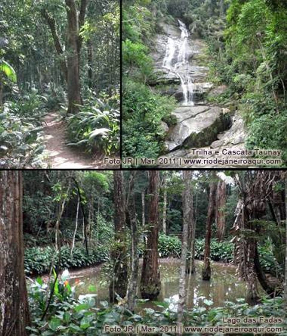 Lugar Floresta da Tijuca 