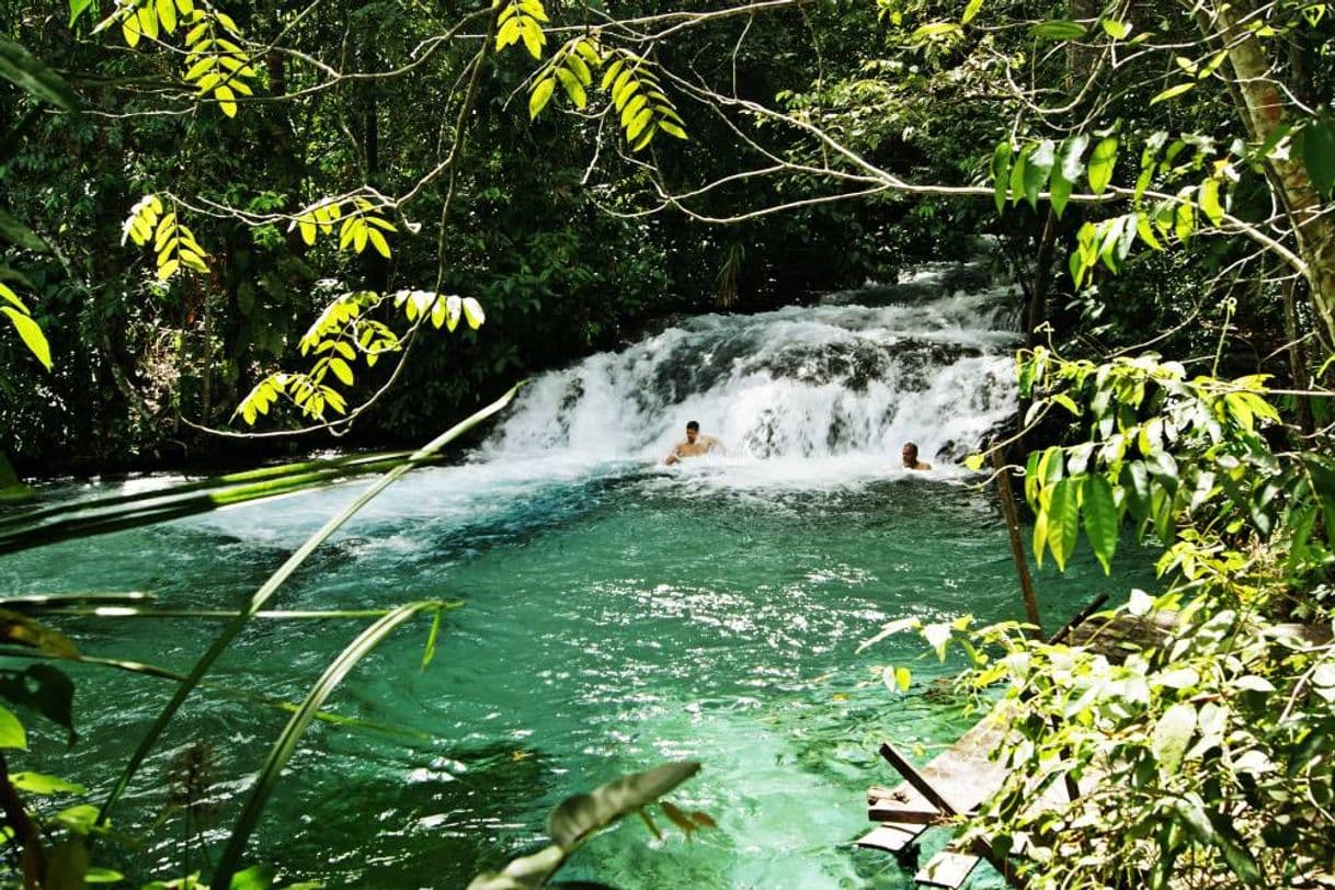 Lugar Parque Estadual do Jalapão – Wikipédia, a enciclopédia livre