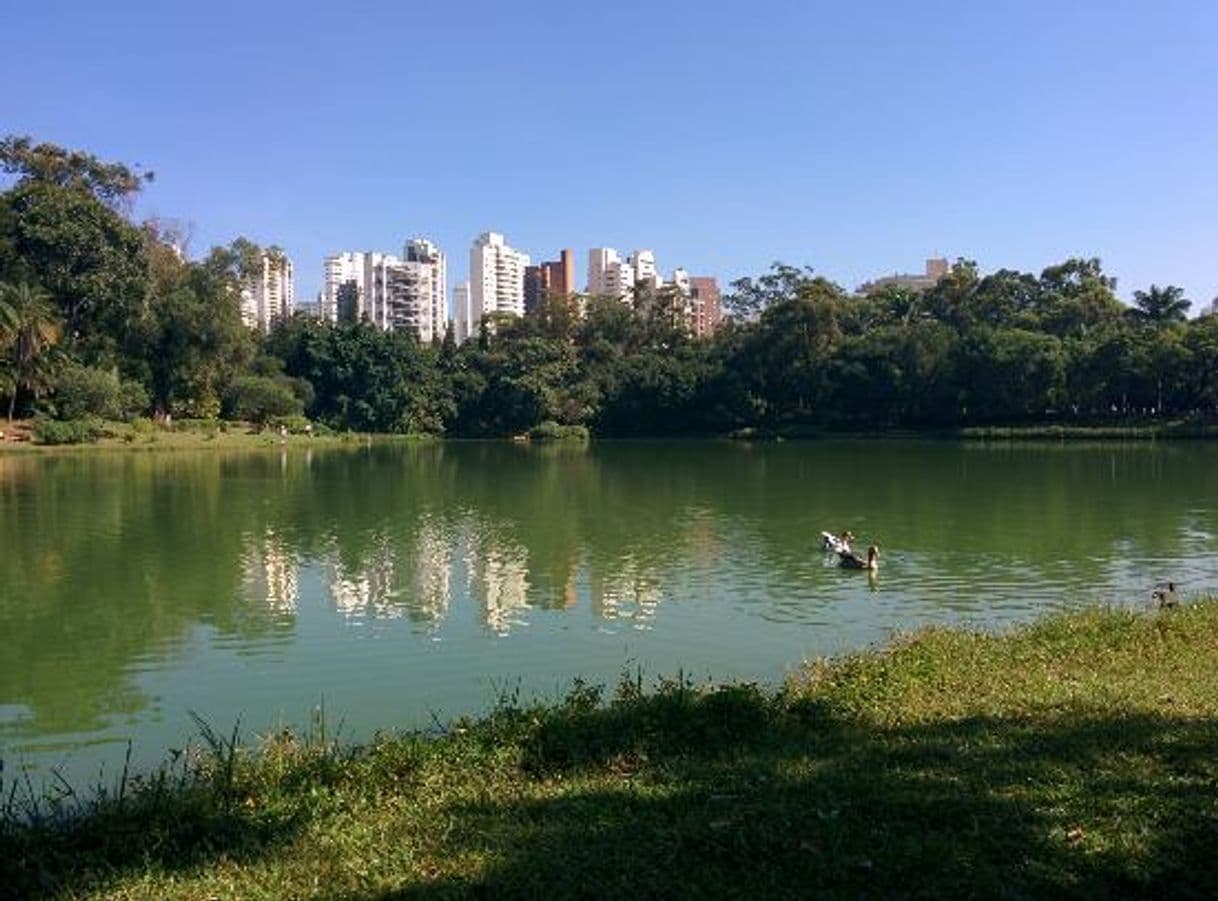 Place Parque Aclimação