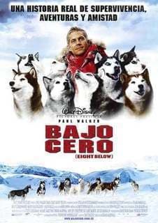 Película Eight Below