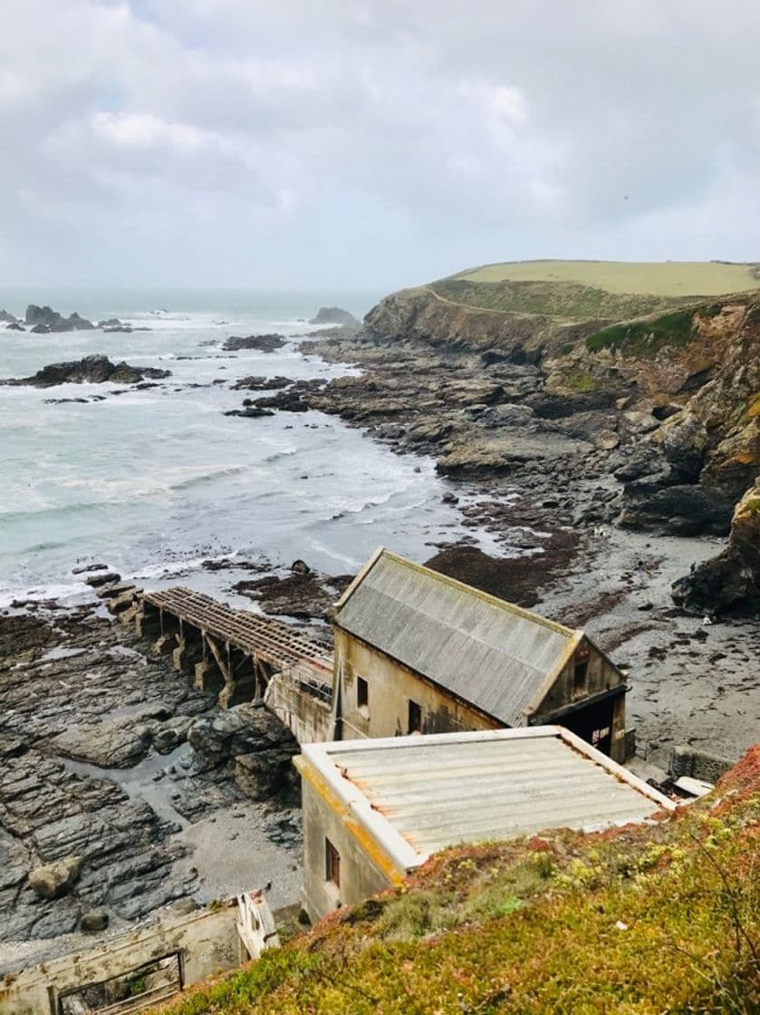 Lugar Lizard Point