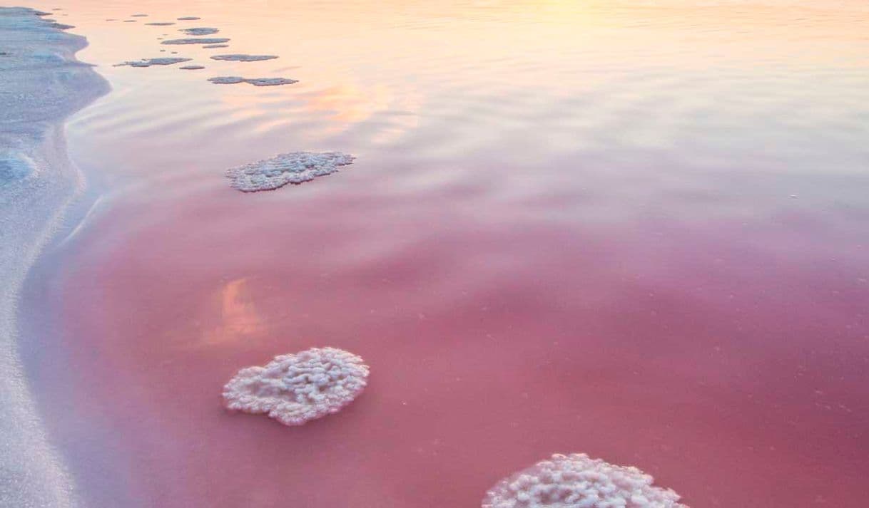 Lugar Salinas De Torrevieja