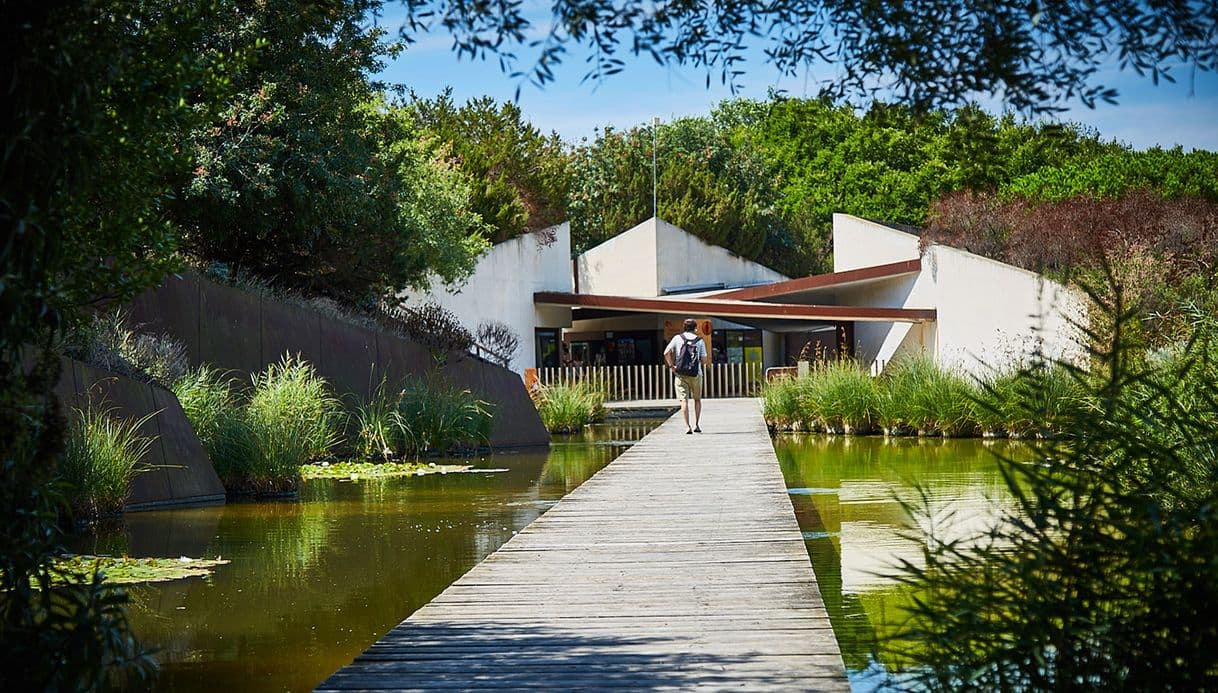 Lugar Jardí Botànic de Barcelona