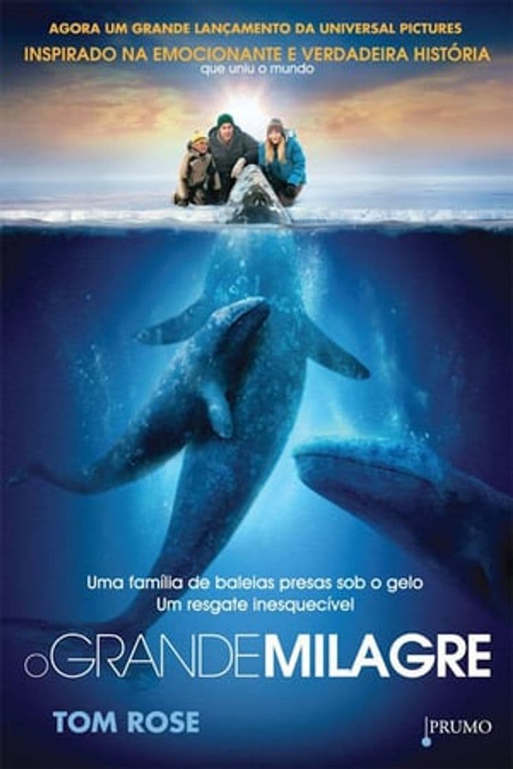 Movie Big Miracle