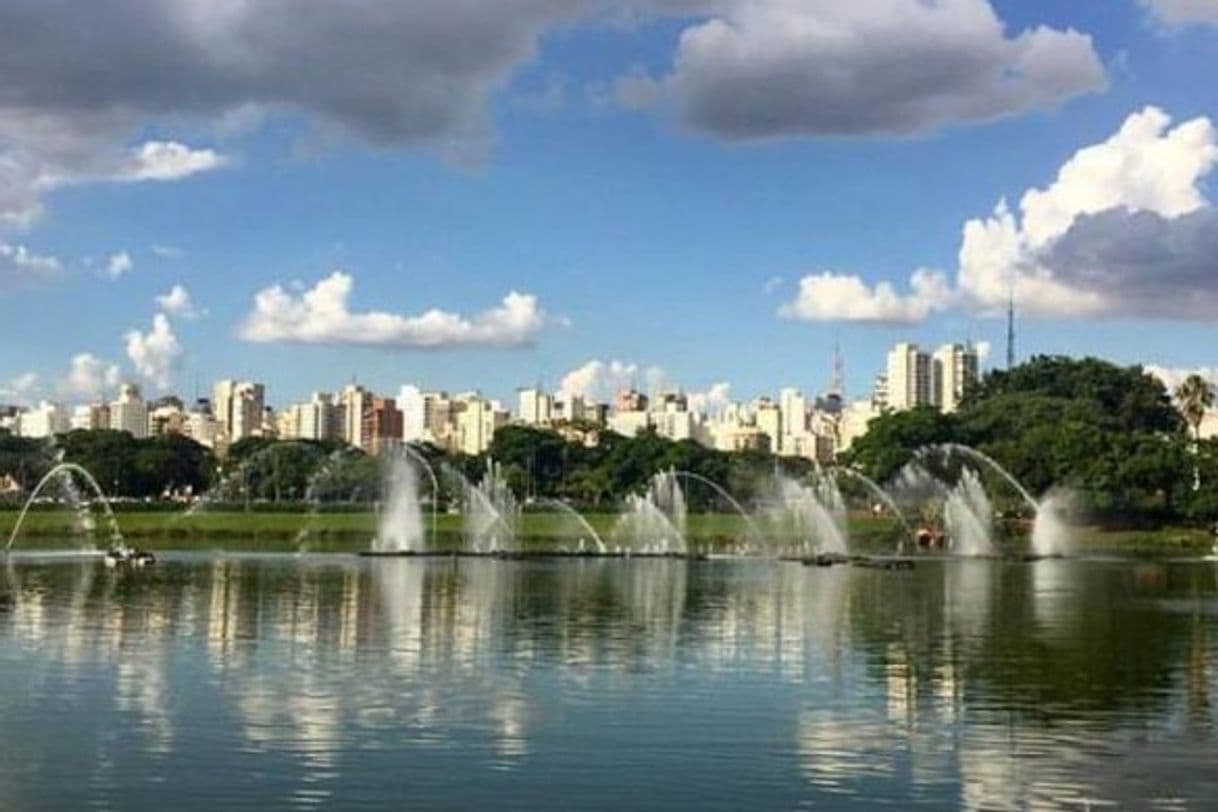 Lugar Ibirapuera