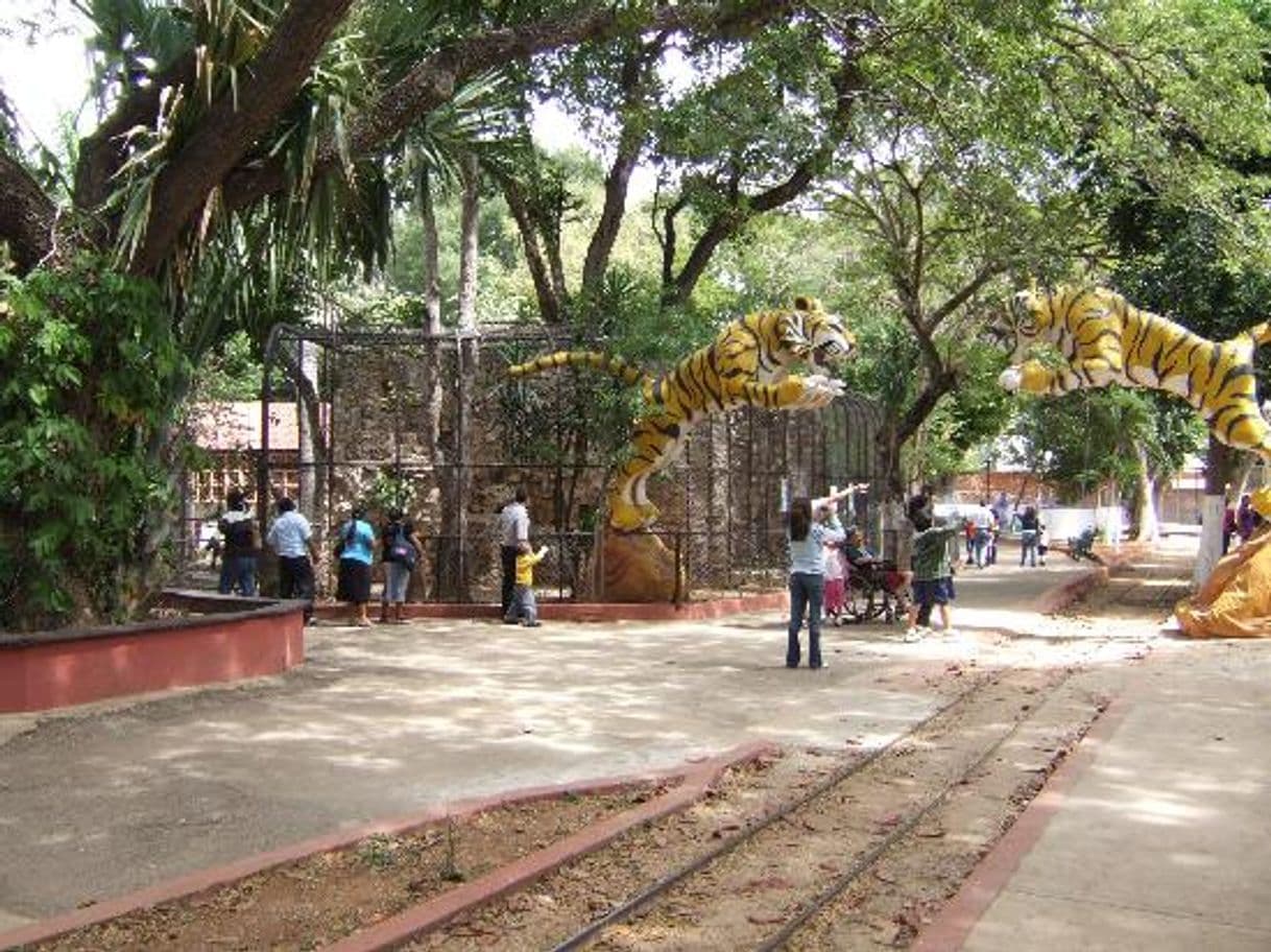 Lugar Parque Zoológico del Centenario