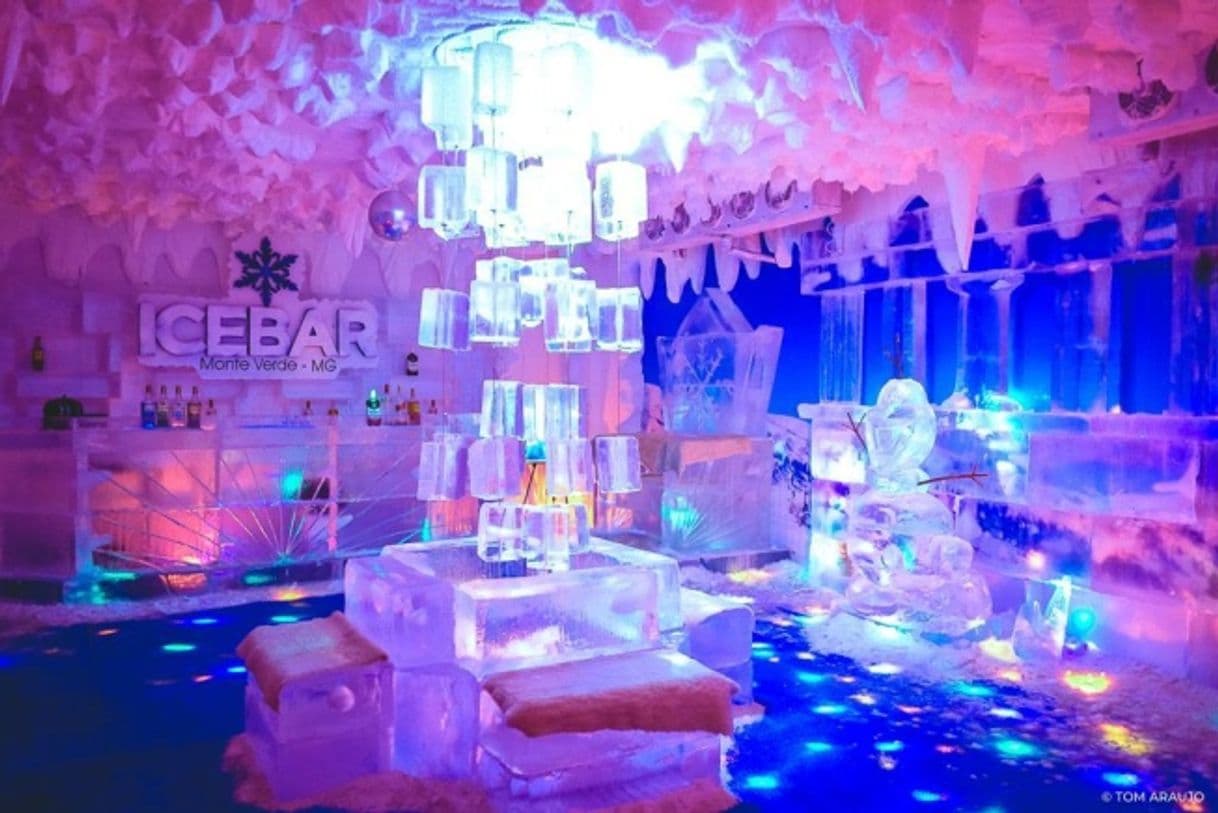 Restaurantes IceBar Monte Verde