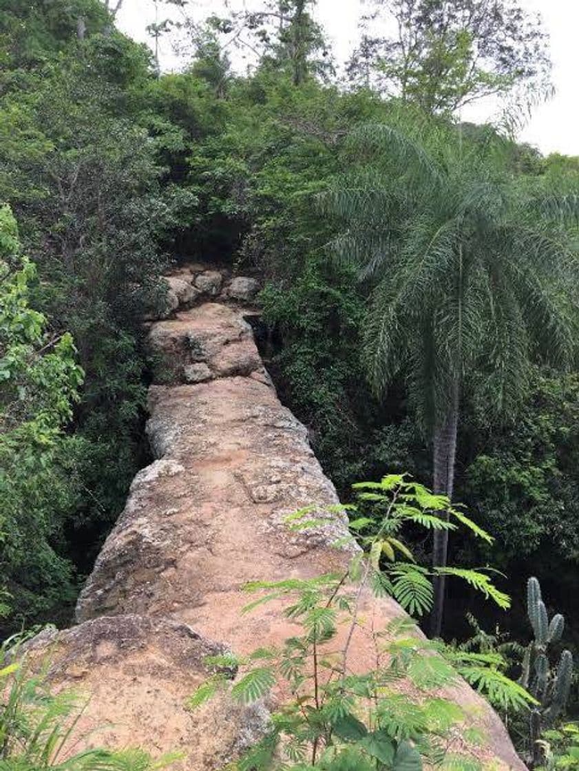 Place Chapada Do Araripe